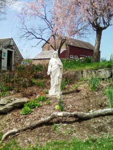 The Sacred Heart of Jesus garden on the family farm.